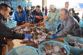Fish from Fukushima Pref.'s Iwaki shipped to Tsukiji