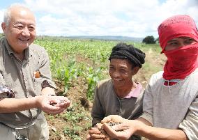 Filipino farmers crop buckwheat in post-conflict Mindanao