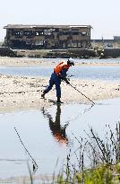 Search for missing underway in disaster-hit Namie, Fukushima