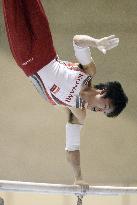 Gymnast Uchimura wins seven consecutive national titles