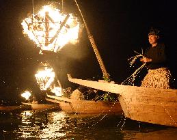 Cormorant fishing masters maneuver to catch 'ayu' trout