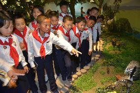 Inside of Songdowon children's camp facility in N. Korea