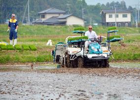 Rice planting starts in Fukushima Pref.