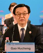 Meeting of APEC trade ministers