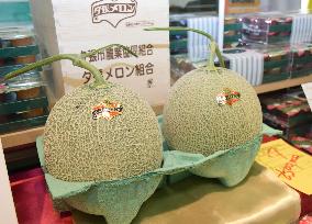 Pair of melons auctioned for 2.5 mil. yen