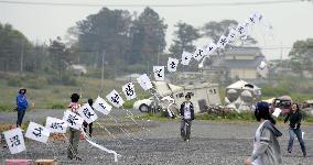 Kites with reconstruction message fly in Kesennuma