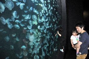 Jellyfish display attracts visitors to aquarium in Tsuruoka