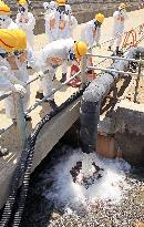 Fukushima nuclear plant
