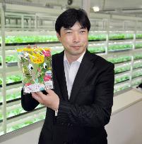Head of large-scale plant farm shows lettuce