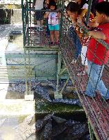 Japan-funded crocodile center in Philippines
