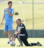 Japan national team starts training in Brazil
