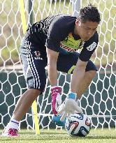 Japan national team goalkeeper Kawashima