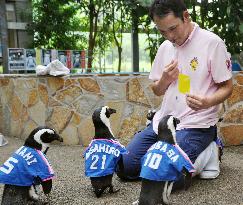 Penguins wear national football team costume