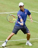 Nishikori advances to Halle quarterfinals