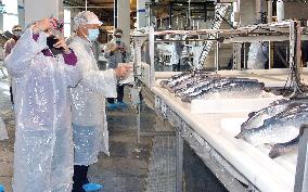 Kesennuma fishery group visits trout factory in Norway