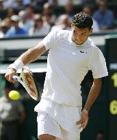 Bulgaria's Dimitrov advances to semifinal in Wimbledon tennis