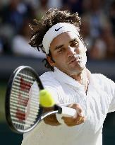 Djokovic, Federer to play in Wimbledon final