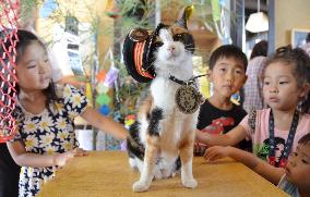 Cat station master 'Tama' with children