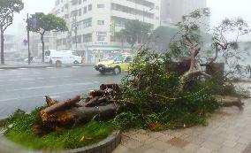 Powerful typhoon approaches Okinawa amid storm surge warning