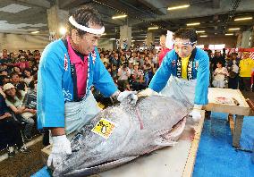 Bluefin tuna disassembled at festival in western Japan