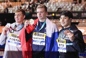 Swimming: World championships in Budapest