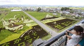Rice paddy art in Aomori Pref.