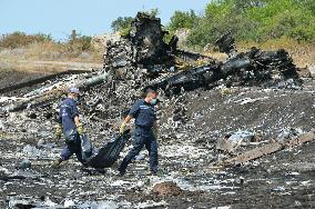 Remains of Malaysian plane crash victim carried away