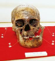 Jomon period woman's skull at Toyama museum