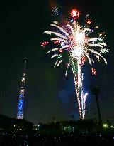 Fireworks light up night sky over Sumida River