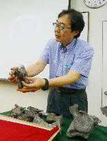 New genus, species of titanosaur found in Hyogo
