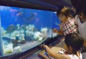Kids enjoy seeing invertebrates at refurbished aquarium