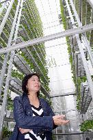 Head of Singapore startup extols vertical farming