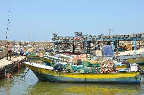 Many Palestinians give up on fishing off Gaza