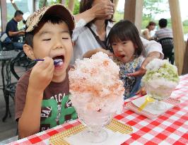 Kids enjoy shaved natural ice in Nikko, Japan