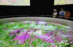 Tourists watch diorama of Mt. Aso, southwestern Japan