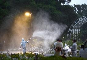Worker sprays pesticide in park to fight dengue fever
