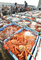 Season's 1st red snow crabs landed at western Japan port