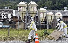Cleanup work near pasture in town affected by nuke disaster