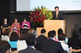 Japan PM Abe vows efforts to protect rights of women