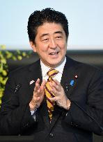 Japan PM Abe vows efforts to protect rights of women