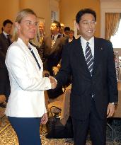 Japanese, Italian foreign ministers