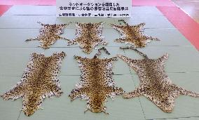 Seized leopard furs shown at Tokyo police station