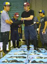 Globefish auction starts in Shimonoseki