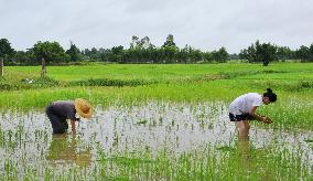 Young Thai woman moves to countryside to start farming