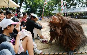 'Wild Boar' nears onlookers in Shodon Shibaya play