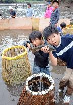 Boys catch carp by traditional Japanese fishing method
