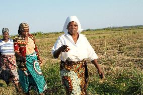Mozambican women walk by farmland taken over by Chinese firm