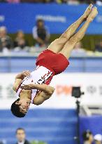 Gymnastics World Championships