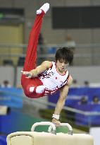 Gymnastics World Championships