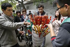 'Tanghulu' candied fruit vendor in Beijing